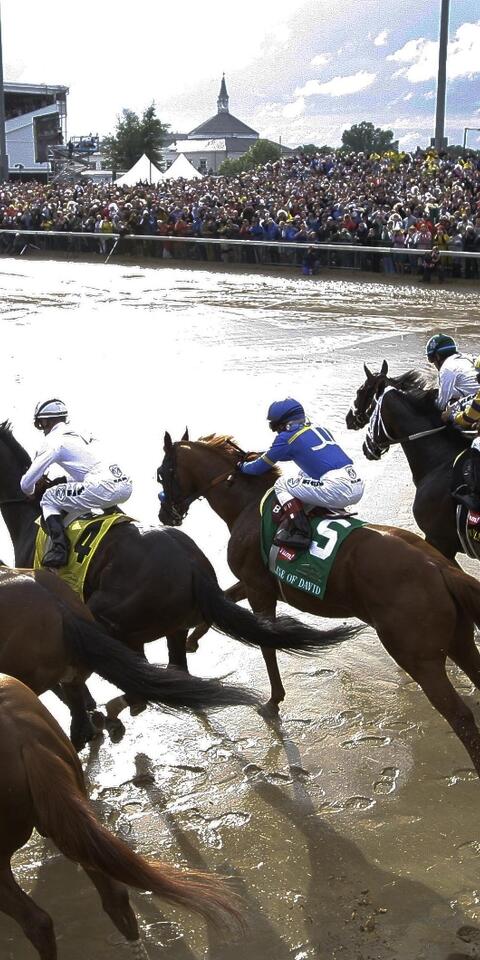 How To Bet On Kentucky Derby Horse Race | Odds Shark